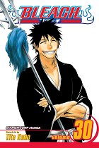 Bleach Vol. 30 manga