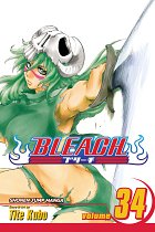 Bleach Vol. 34 manga