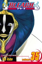 Bleach Vol. 35 manga