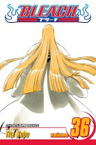 Bleach Vol. 36 manga
