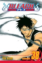 Bleach Vol. 38 manga