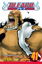 Bleach Vol. 41 manga