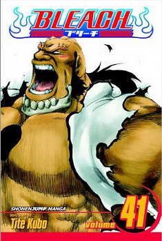 Bleach Vol. 41 - MangaShop.ro