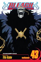 Bleach Vol. 43 manga