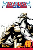 Bleach Vol. 45 manga
