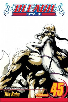 Bleach Vol. 45