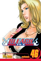 Bleach Vol. 46 manga
