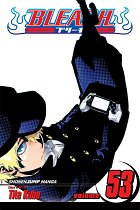 Bleach Vol. 53 manga