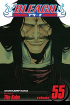 Bleach Vol. 55 manga