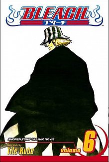 Bleach Vol.  6