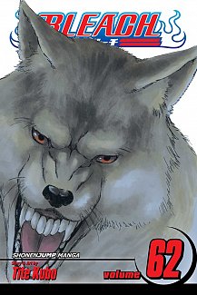 Bleach Vol. 62