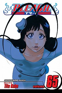 Bleach Vol. 65