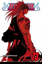 Bleach Vol. 73 manga