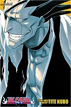 Bleach (3-in-1 Edition) Vol. 13-15 manga