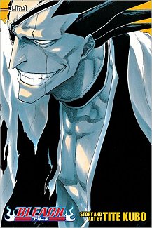 Bleach (3-in-1 Edition) Vol. 13-15