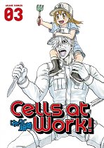 Cells at Work! Vol.  3 manga