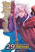 D.Gray-Man, Vol. 29 manga