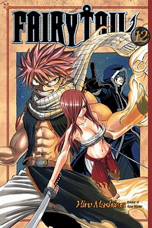 Fairy Tail Vol. 12