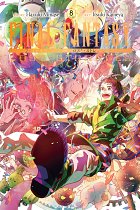 Final Fantasy Lost Stranger, Vol. 8 manga