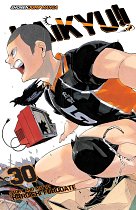 Haikyu!! Vol. 30 manga
