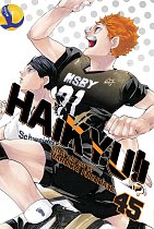 Haikyu!! Vol. 45 manga
