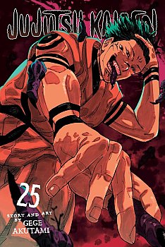 Jujutsu Kaisen, Vol. 25 manga