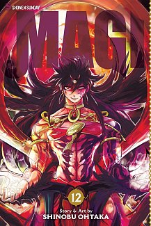 Magi: The Labyrinth of Magic Vol. 12