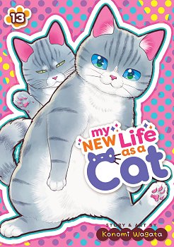 My New Life As a Cat Vol. 13 manga
