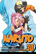 Naruto Vol. 30 manga