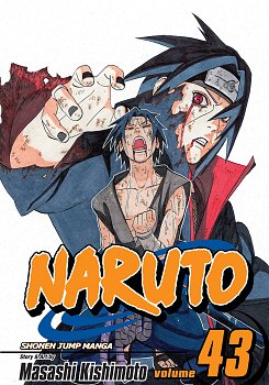 Naruto Vol. 43 manga