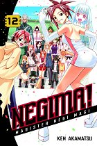 Negima!: Magister Negi Magi Vol. 12 manga