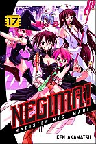 Negima!: Magister Negi Magi Vol. 17 manga