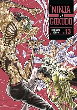 Ninja vs. Gokudo 13 manga