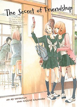 The Secret of Friendship - MangaShop.ro