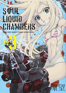 Soul Liquid Chambers Vol.  3