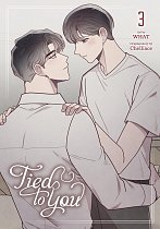 Tied to You, Vol. 3 manga