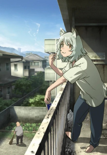 Anime TV dupa manga Chainsmoker Cat