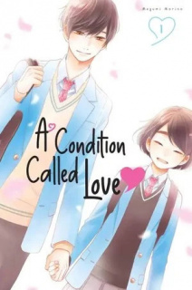 Manga A Condition Called Love la final