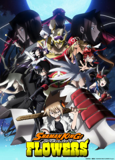 Nou promo anime Shaman King Flowers