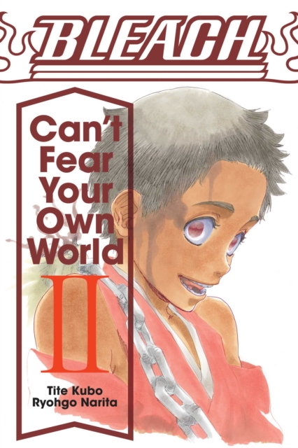 Bleach: Can't Fear Your Own World (Light Novel) Vol.  2 - MangaShop.ro