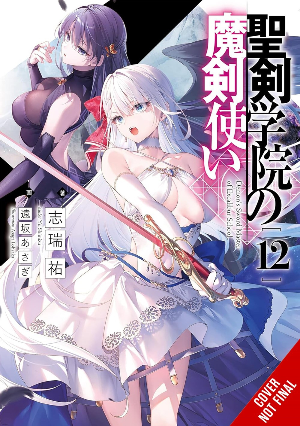 The Demon Sword Master of Excalibur Academy, Vol. 12 - MangaShop.ro