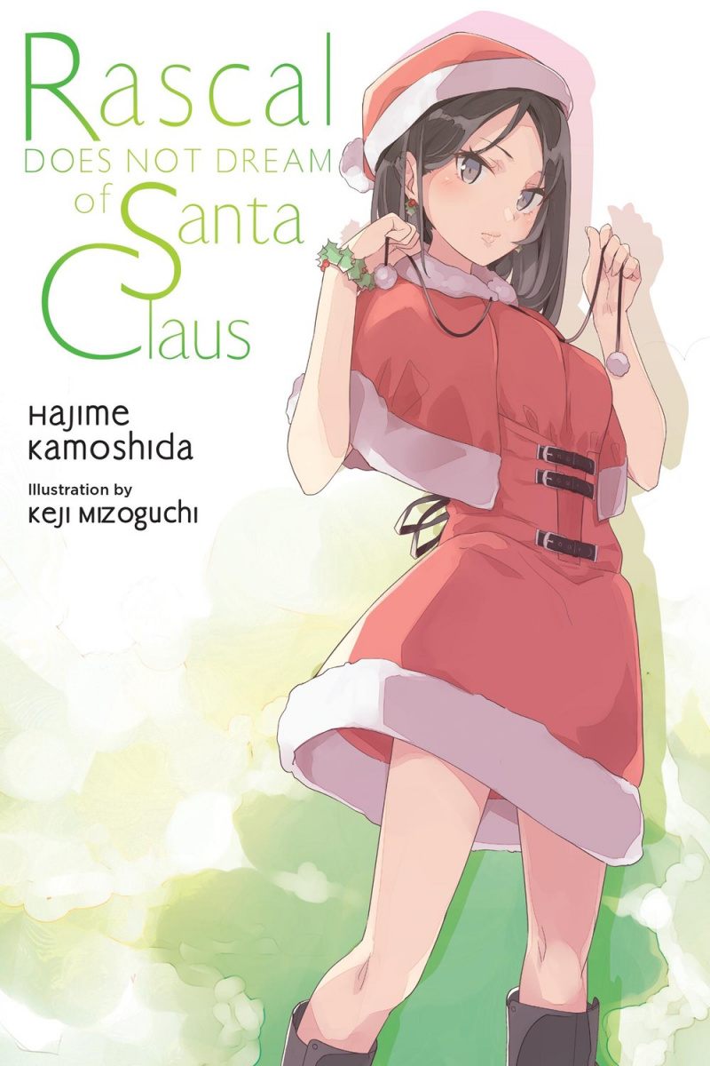 Rascal Does Not Dream of Santa Claus (Light Novel): Volume 13 - MangaShop.ro