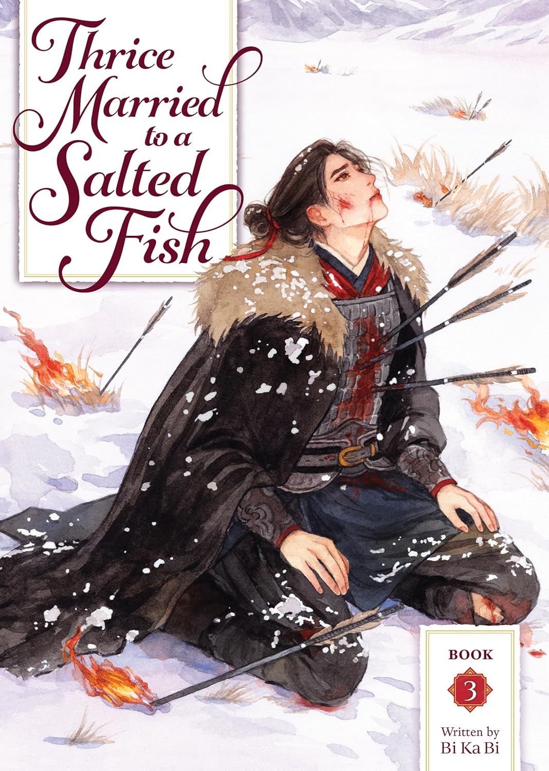Thrice Married to a Salted Fish Vol. 3 - MangaShop.ro