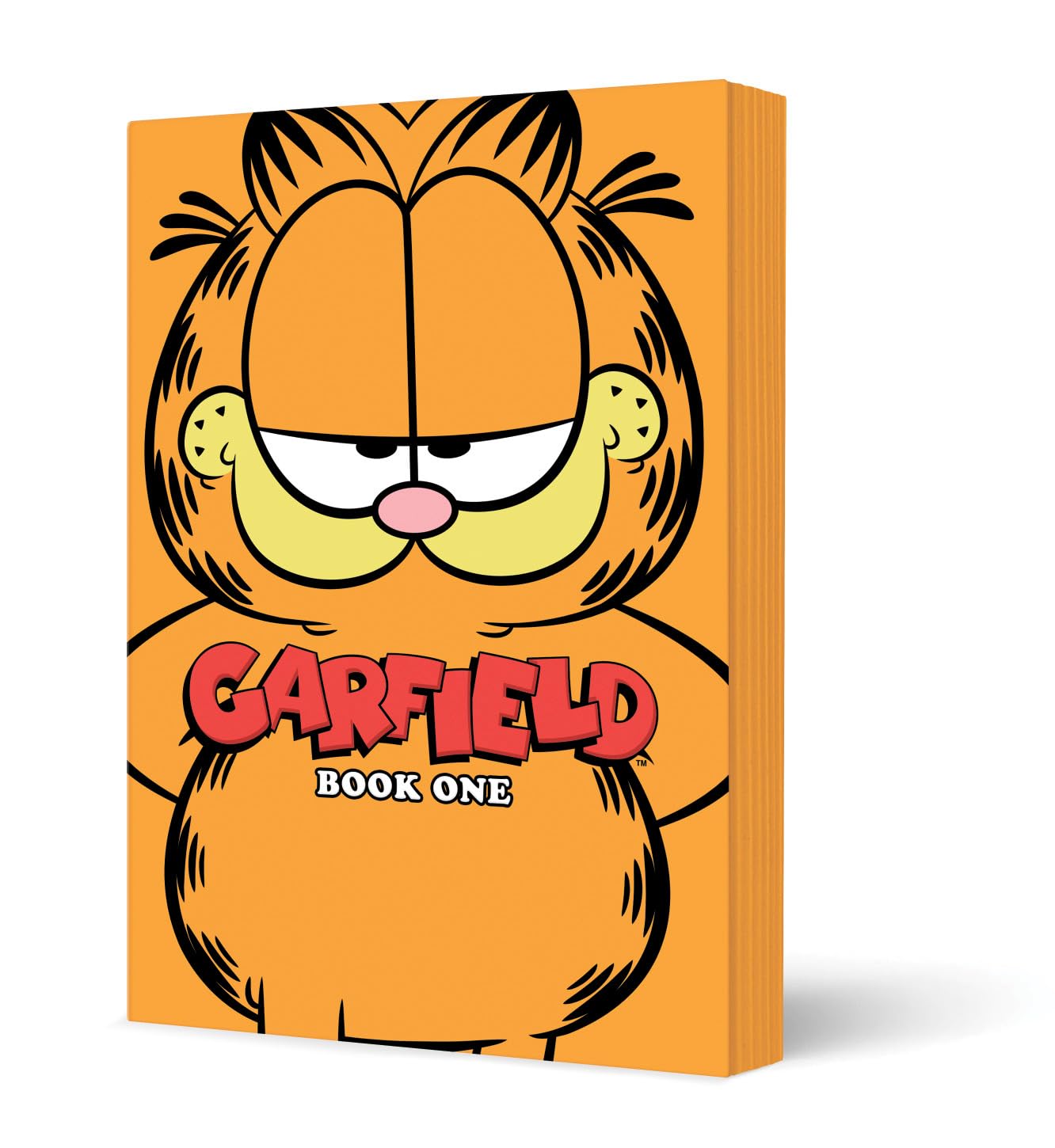 Garfield Book One - MangaShop.ro