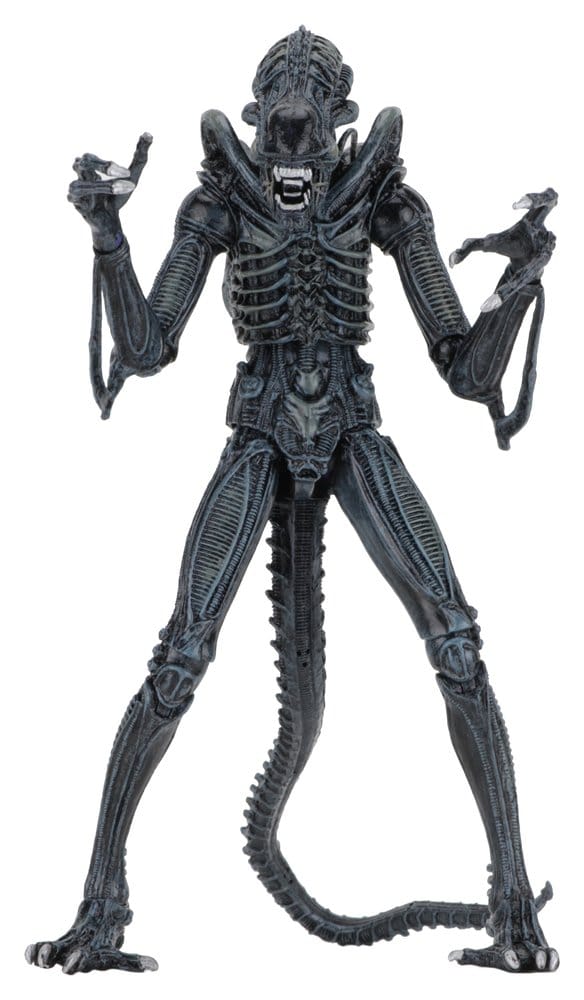 Aliens Ultimate Action Figure Warrior (1986) Blue 23 cm - MangaShop.ro