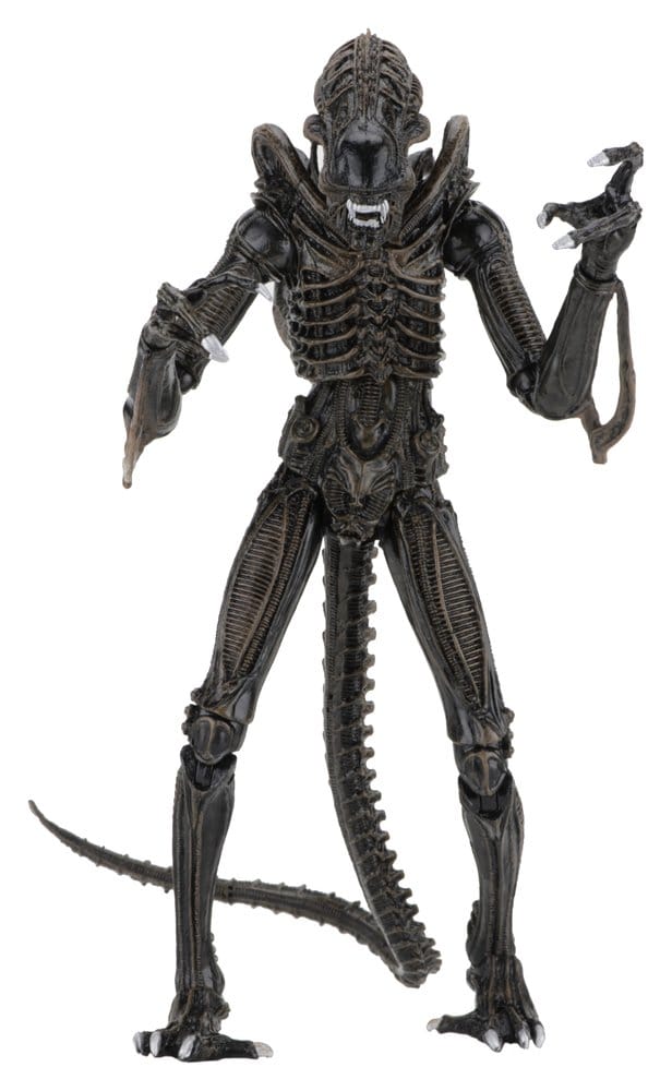 Aliens Ultimate Action Figure Warrior (1986) Brown 23 cm - MangaShop.ro