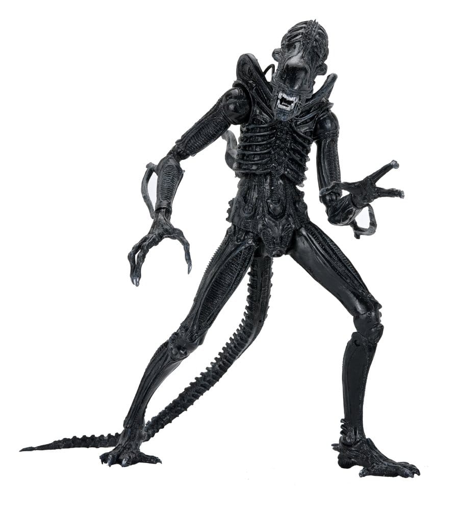 Aliens Ultimate Action Figure Warrior (1986) Xenomorph Black (40th Anniversary) 23 cm - MangaShop.ro
