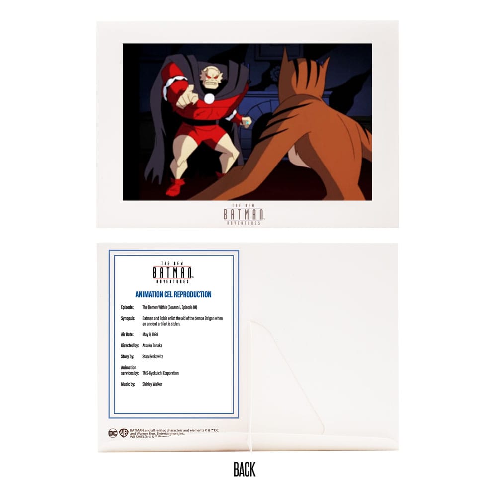 The New Batman Adventures DC Multiverse McFarlane Collector Edition Action Figures Wave 5 18 cm assortment (6) - MangaShop.ro