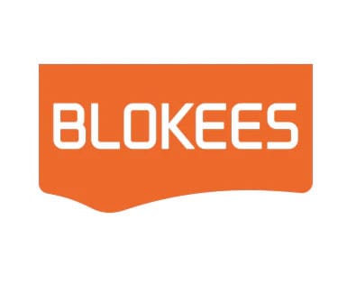 Transformers Blokees Plastic Model Kit Classic Class 13 Elita - MangaShop.ro