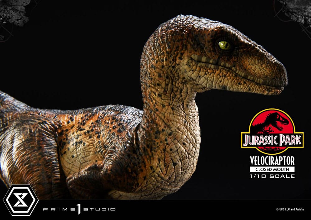 Jurassic Park Prime Collectibles Statue 1/10 Velociraptor Closed Mouth 19 cm - MangaShop.ro